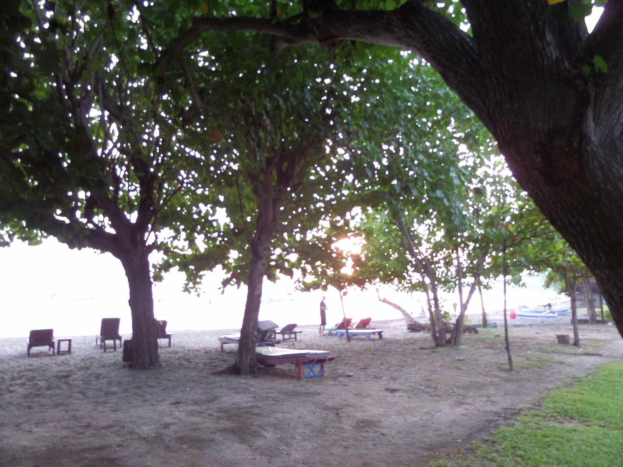 Taman Selini Wahana Beach Resort Pemuteran Dış mekan fotoğraf
