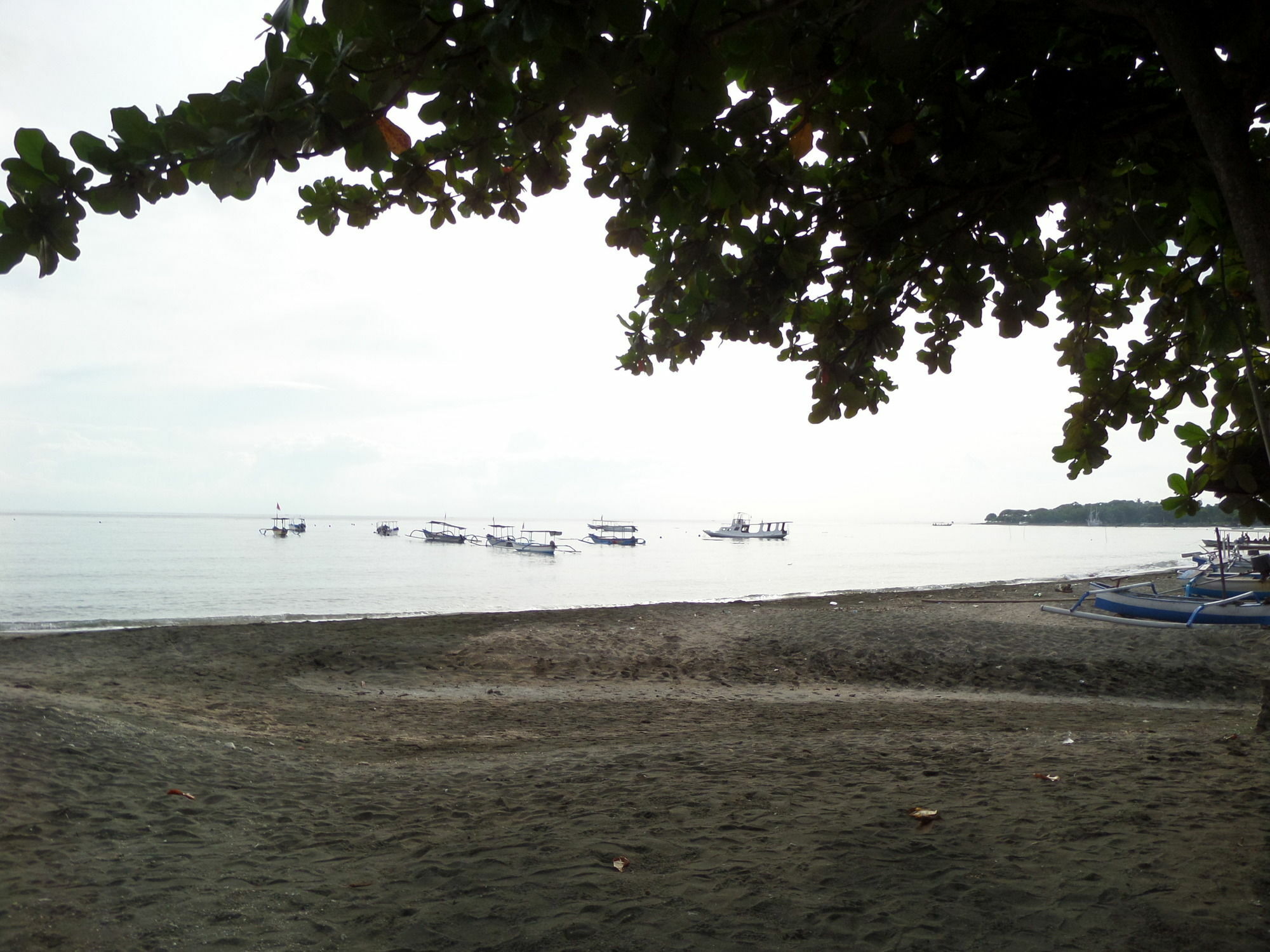Taman Selini Wahana Beach Resort Pemuteran Dış mekan fotoğraf