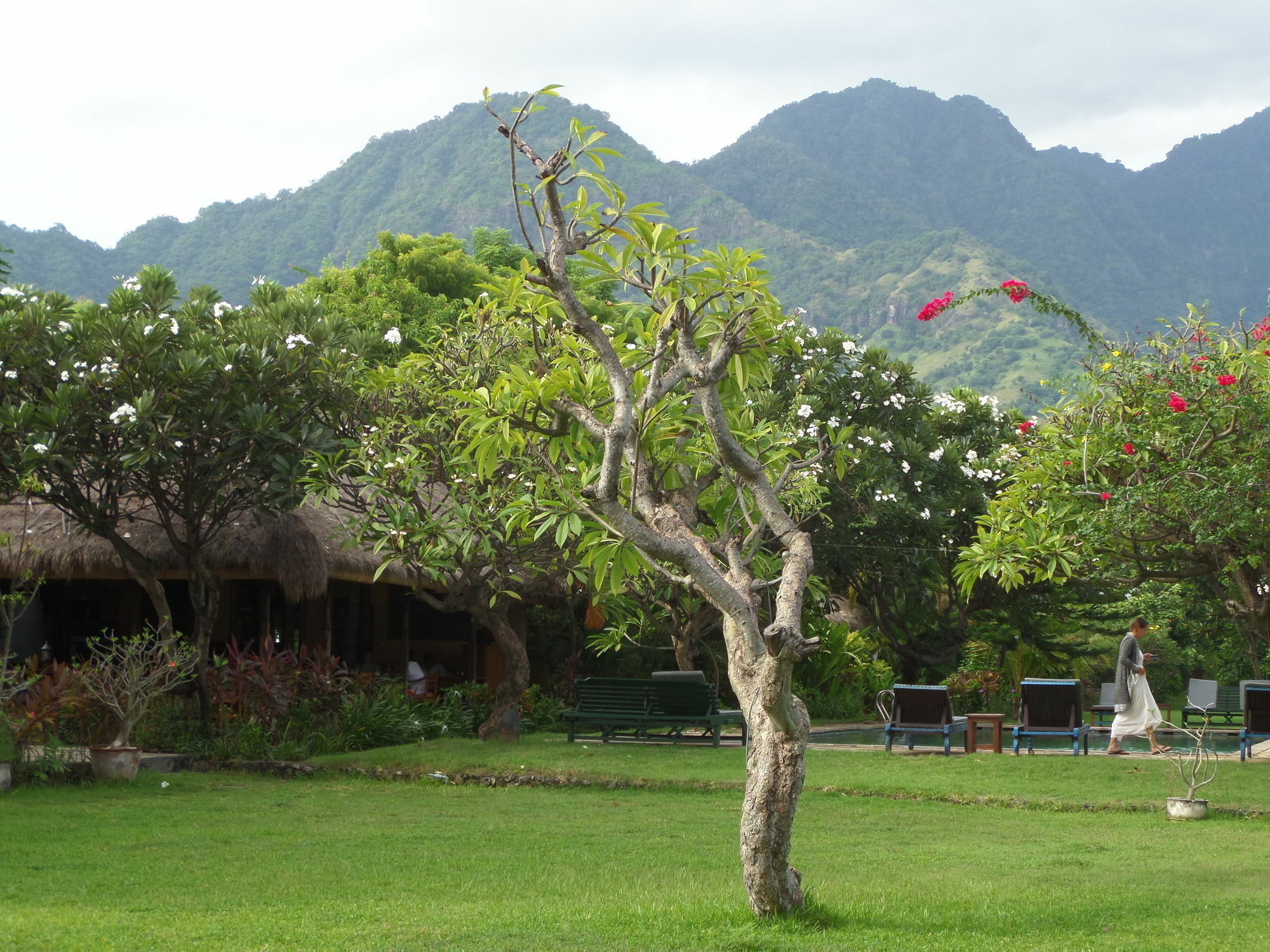 Taman Selini Wahana Beach Resort Pemuteran Dış mekan fotoğraf